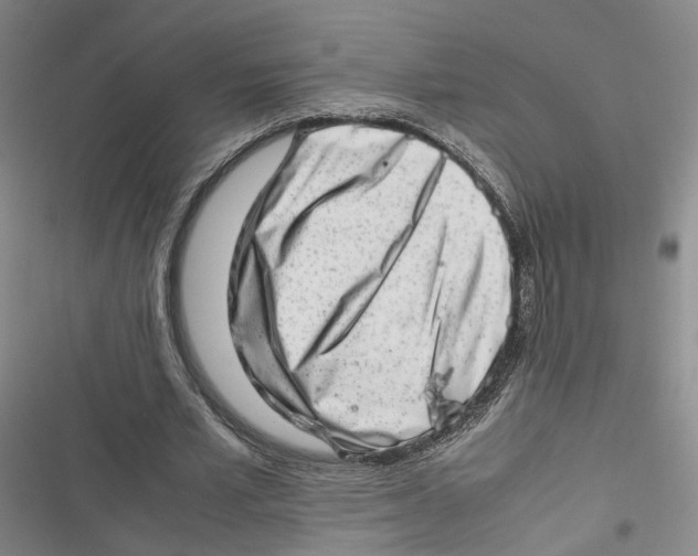X0000116880581201001121324