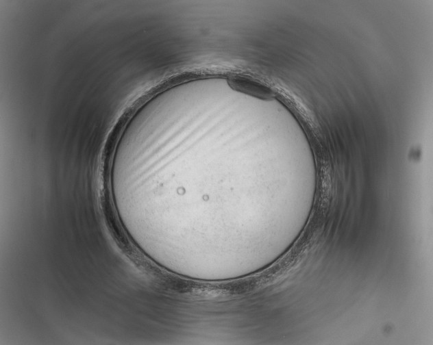 X0000116880582201001121324