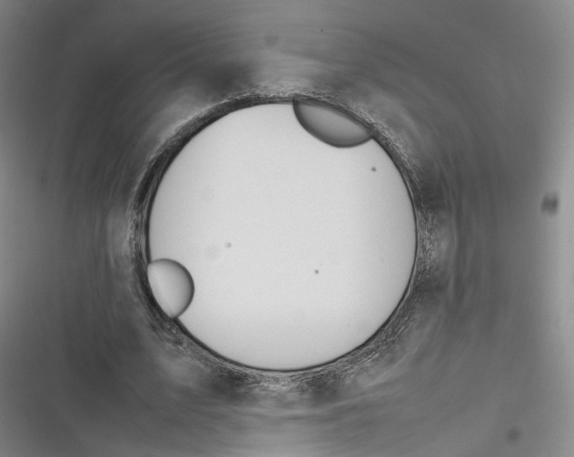 X0000116880583201001121324