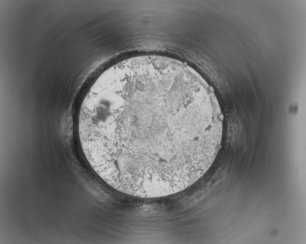 X0000116880584201001121324