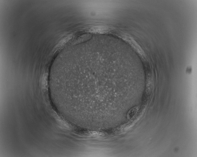 X0000116880585201001121324