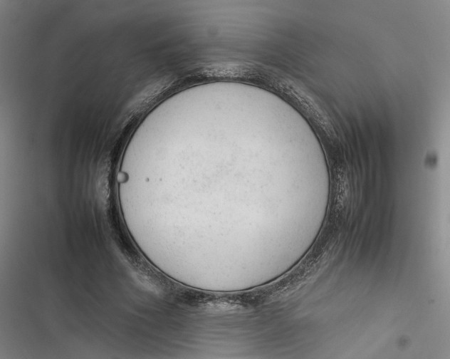 X0000116880586201001121324