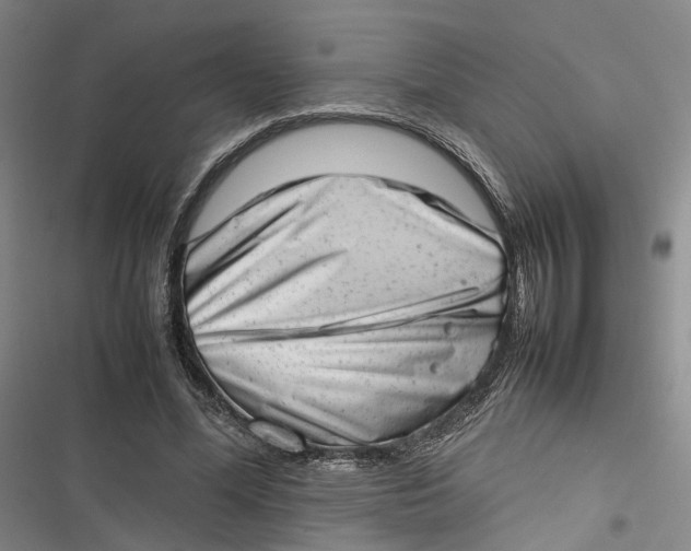 X0000116880588201001121324
