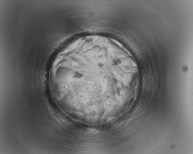 X0000116880592201001121324