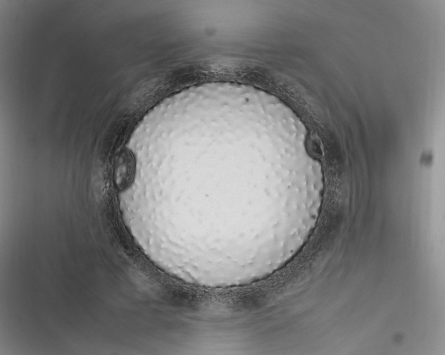 X0000116880593201001121324