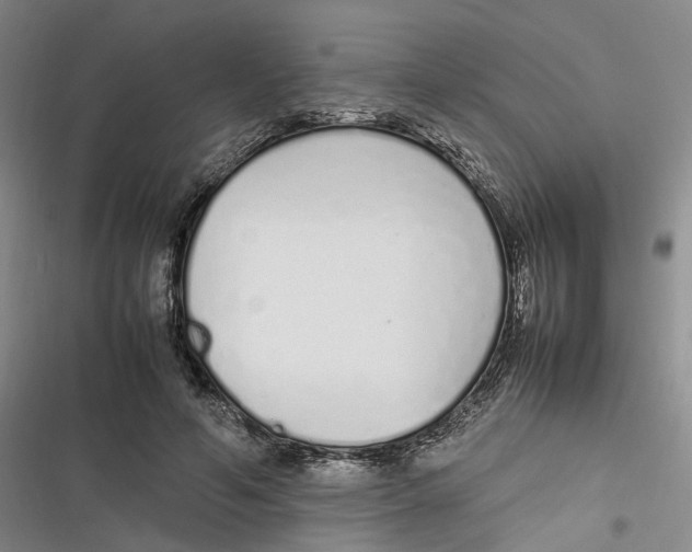X0000116880594201001121324