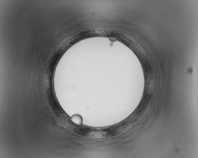 X0000116880595201001121324