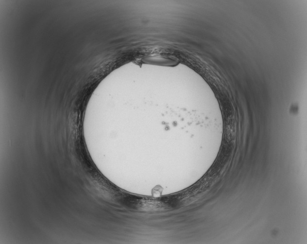 X0000116880605201001121324