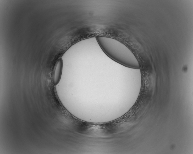 X0000116880611201001121324