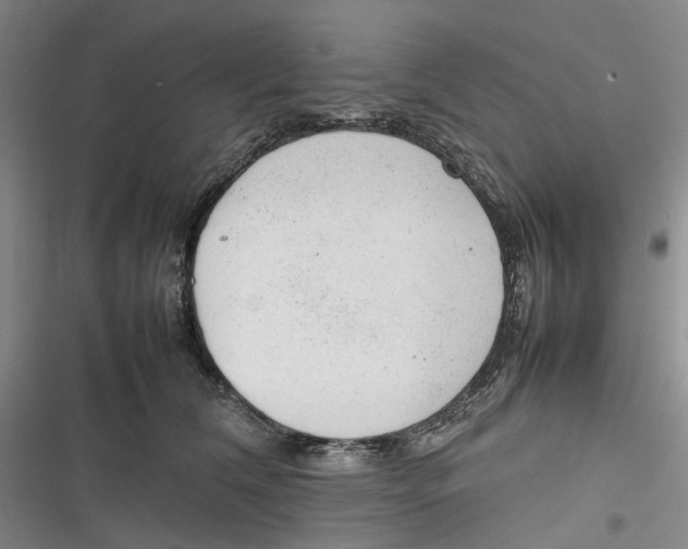 X0000116880612201001121324