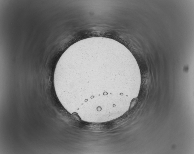 X0000116880615201001121324