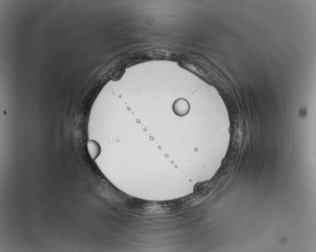 X0000116880616201001121324