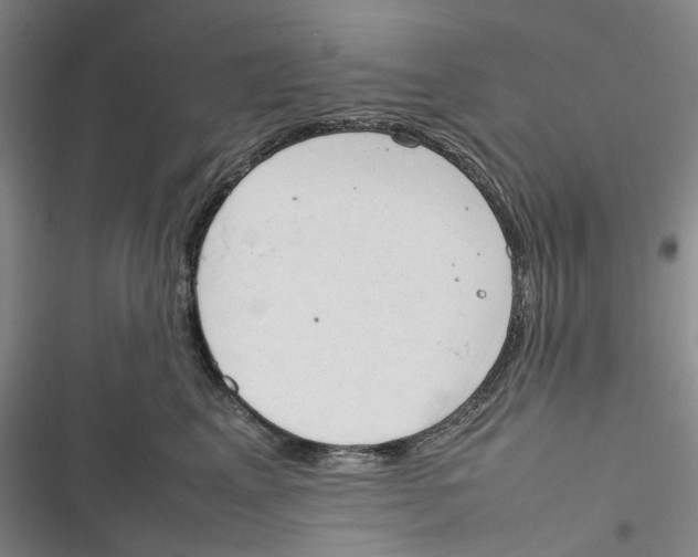 X0000116880617201001121324