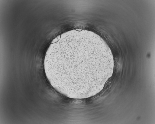 X0000116880619201001121324