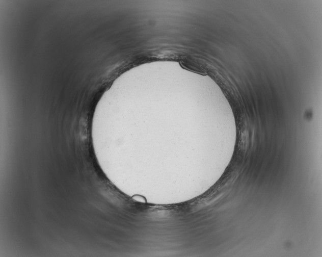 X0000116880620201001121324