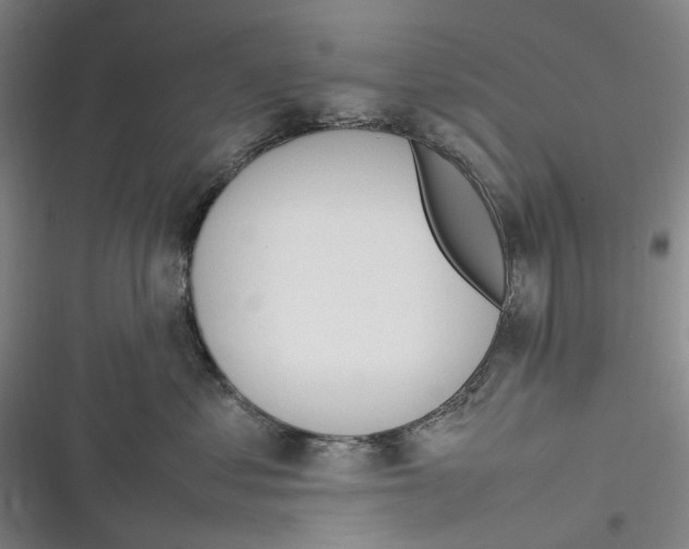 X0000116880621201001121324