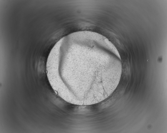 X0000116880622201001121324