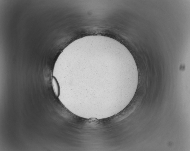 X0000116880624201001121324