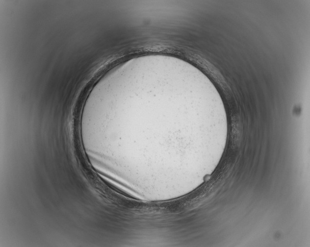 X0000116880626201001121323