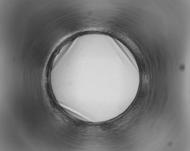 X0000116880628201001121323