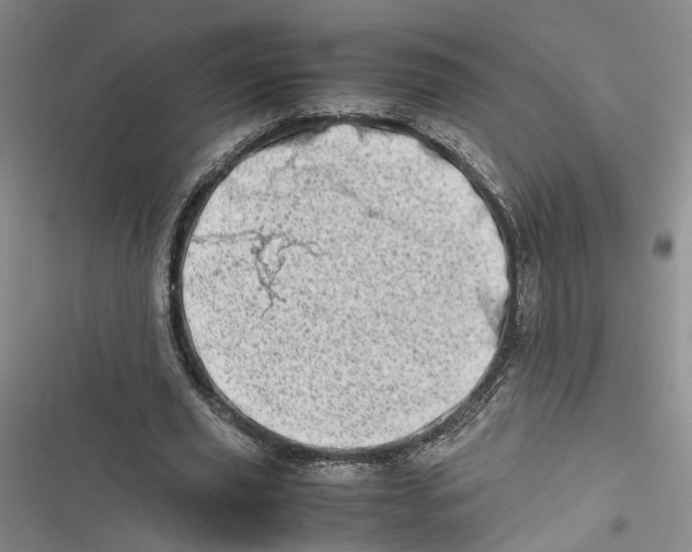 X0000116880629201001121323