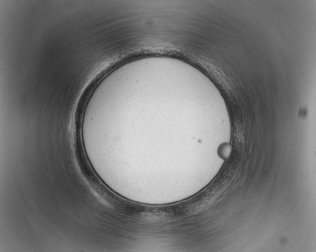X0000116880630201001121323
