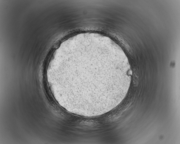 X0000116880631201001121323