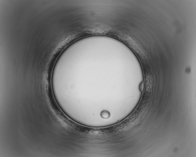 X0000116880634201001121323