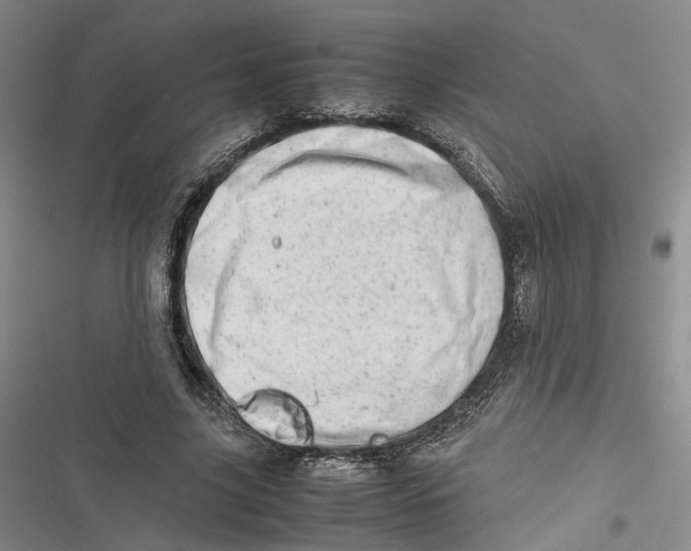 X0000116880635201001121323