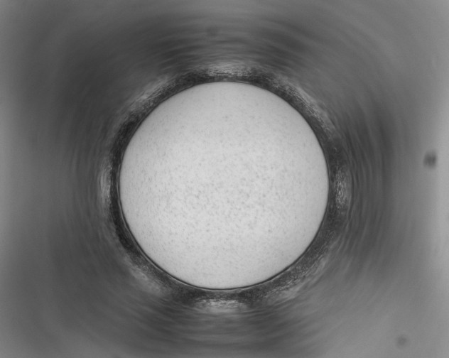 X0000116880637201001121323