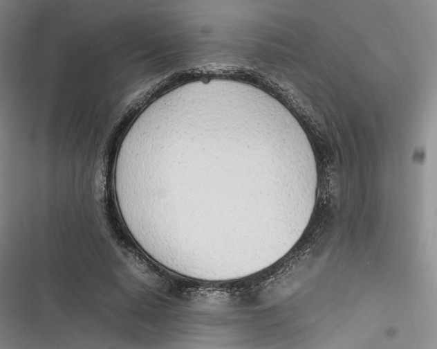 X0000116880640201001121323