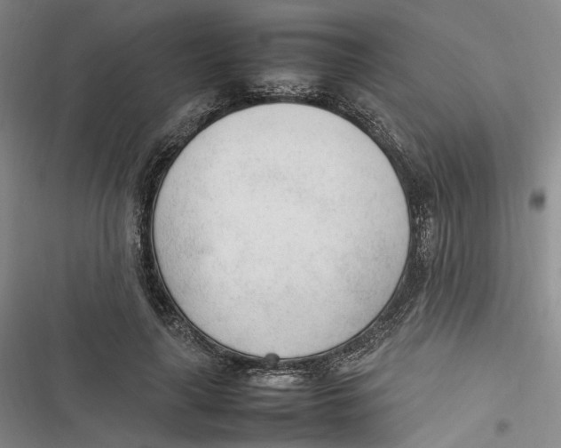 X0000116880643201001121323