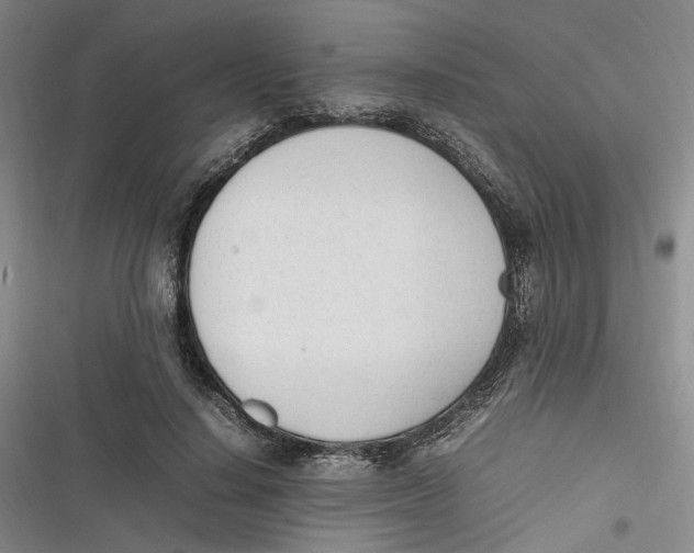 X0000116880644201001121323