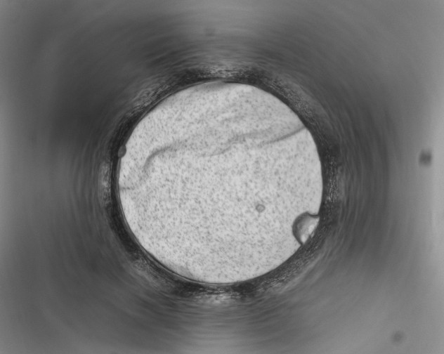 X0000116880646201001121323