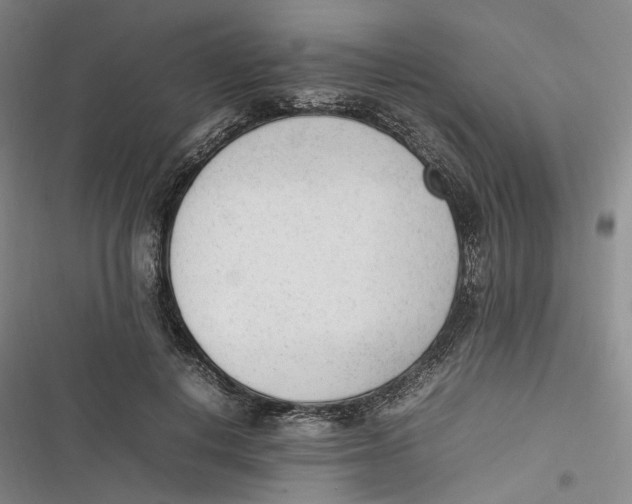 X0000116880648201001121323