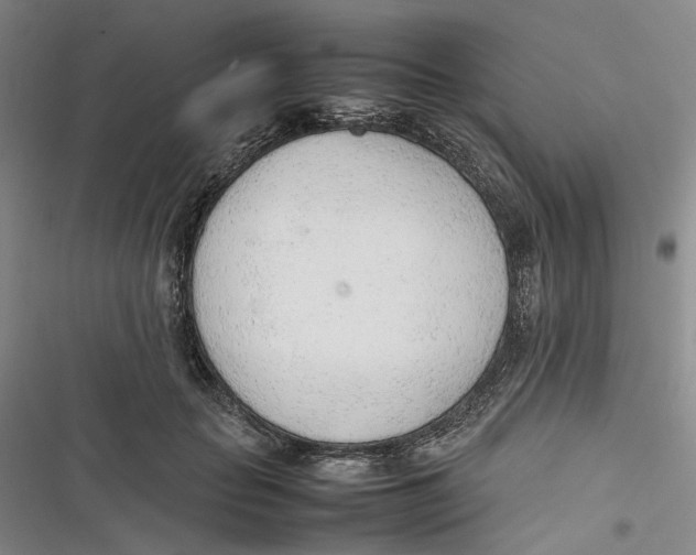 X0000116880653201001121323