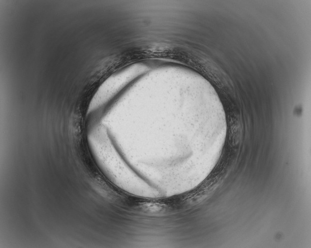 X0000116880654201001121323