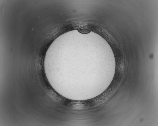 X0000116880658201001121323