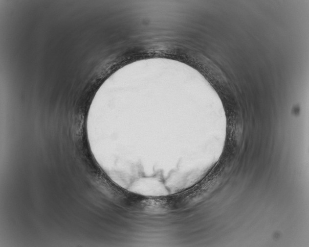 X0000116880660201001121323