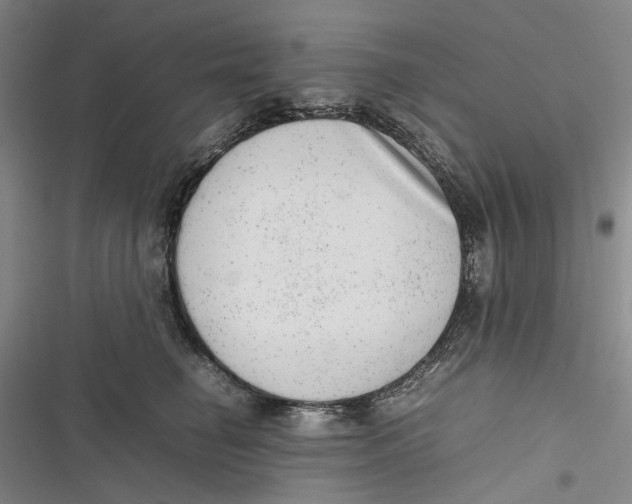 X0000116880662201001121324