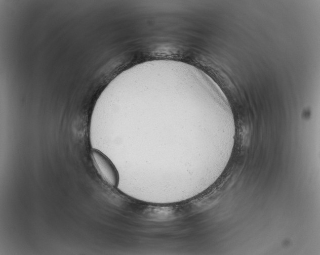 X0000116880665201001121324