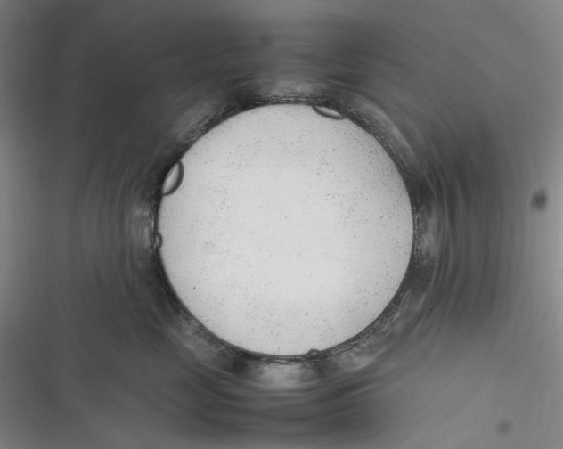 X0000116880669201001121324