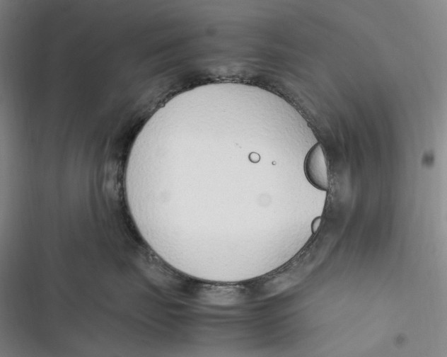 X0000116880671201001121324