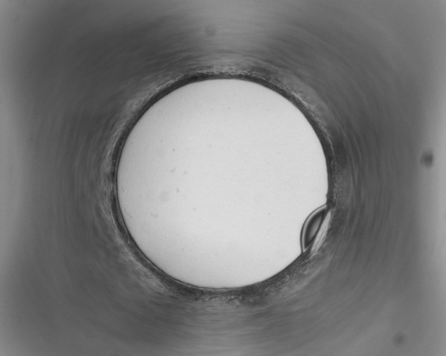 X0000116880673201001121323