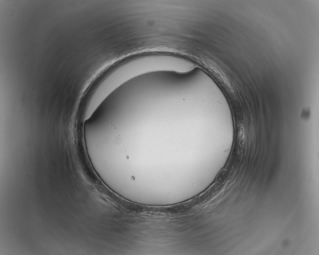 X0000116880676201001121323