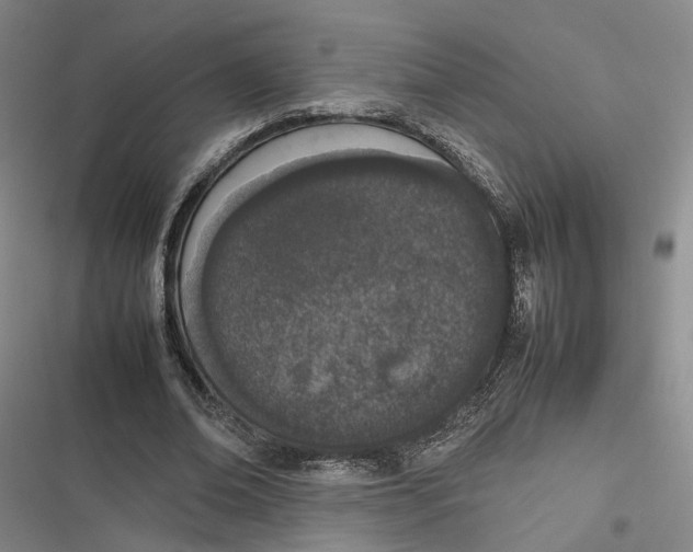 X0000116880678201001121323