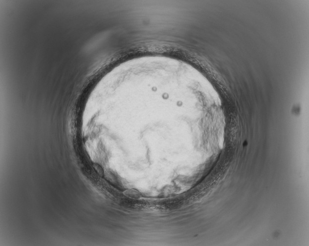 X0000116880683201001121323