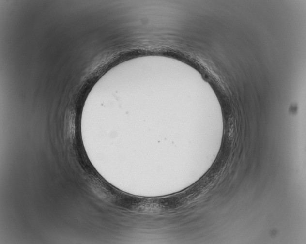 X0000116880685201001121323