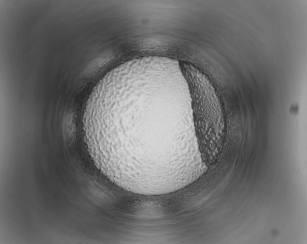 X0000116880692201001121323