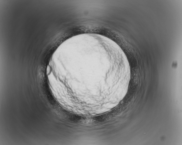 X0000116880695201001121323